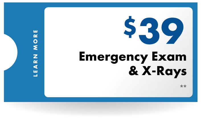 $39 emregency exam and x-ray
